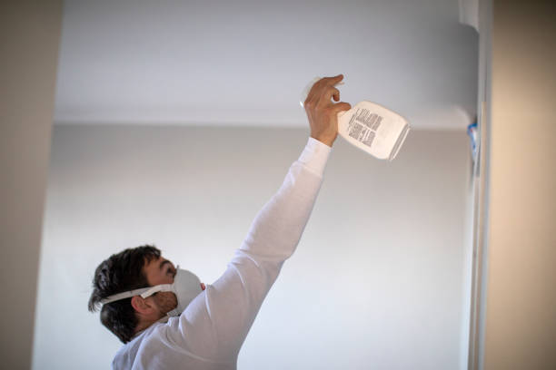Best Mold Testing  in Wheatland, CA